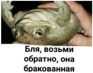 Sticker from жабы
