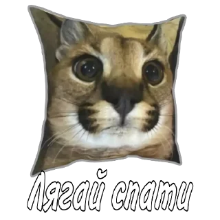 🌛 emoji Welcome to ChatHub Telegram sticker 14 of 44