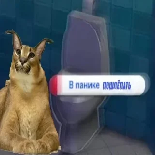 ❗️ emoji ШЛЕПЫЧЬ :) Telegram sticker 21 of 39