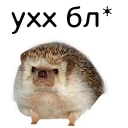👺 emoji Ежи Микегин Telegram sticker 10 of 17