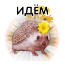 🚶 emoji Ежи Микегин Telegram sticker 15 of 17