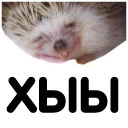 😁 emoji Ежи Микегин Telegram sticker 6 of 17