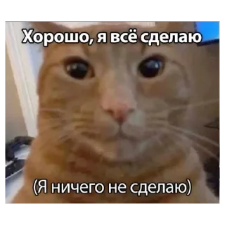 Sticker from найлох стикс