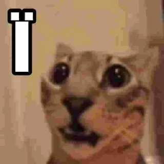 😳 emoji КОТИСЬКО та компанія Telegram sticker 5 of 25