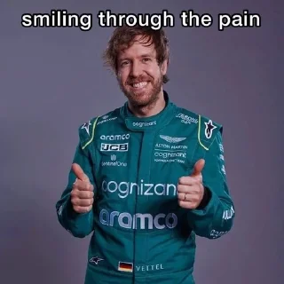 🥲 emoji seb vettel memes Telegram sticker 22 of 51