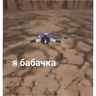 Sticker from Стикеры от шаурмы