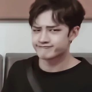 🐺 emoji [🐺] ;; bangchan ;; @lumicore_present Telegram sticker 20 of 40