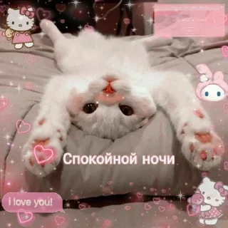 Sticker from мяу