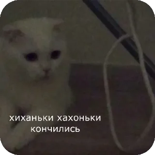 🐱 emoji Хзче Telegram sticker 14 of 104