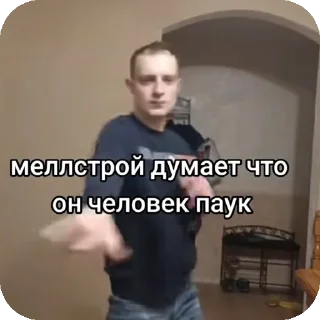 Sticker from МЕЛСТРОЙ сделал вили вили