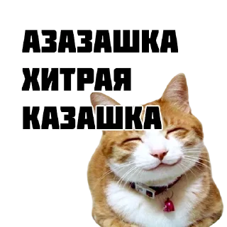 😝 emoji Котики Telegram sticker 13 of 86