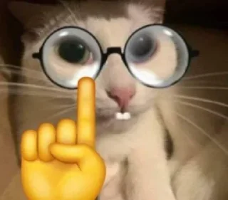 😆 emoji مالط @M_0_IHXX Telegram sticker 19 of 103