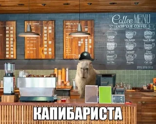 ⭐ emoji Капибары @Bublik_Z Telegram sticker 10 of 44