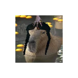 😨 emoji Капибары @Bublik_Z Telegram sticker 20 of 44