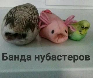 Sticker from Блопсы 2