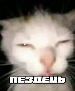 🫠 emoji шось by @shpthfu Telegram sticker 7 of 44