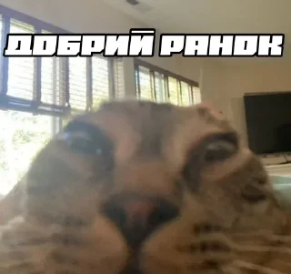 ☀ emoji шось by @shpthfu Telegram sticker 18 of 44