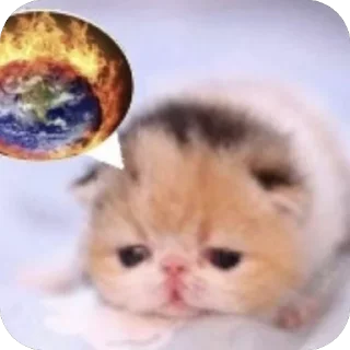 🔥 emoji мяяя Telegram sticker 9 of 88