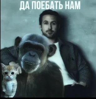 🌟 emoji Да поебать мне Telegram sticker 5 of 18