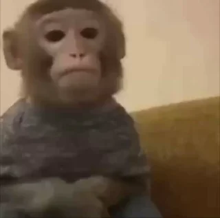 😐 emoji monkey 🐵 Telegram sticker 13 of 39