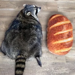 🍞 emoji Енотики Telegram sticker 14 of 34