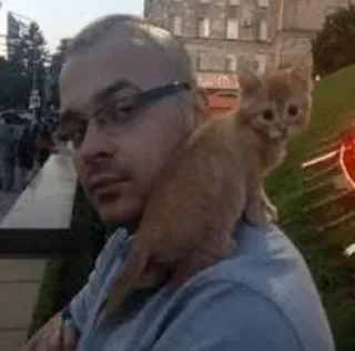 🤨 emoji ТЕСАК НАХУЙ BY NISH Telegram sticker 5 of 21
