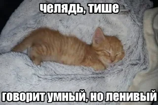 🤩 emoji я охуенен @satori_666 Telegram sticker 14 of 103