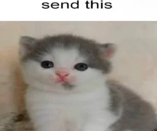🤩 emoji я охуенен @satori_666 Telegram sticker 21 of 103