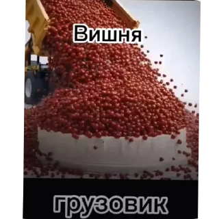 Sticker from Вишня. На торте