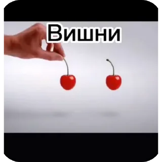 👍 emoji Вишня. На торте Telegram sticker 12 of 20