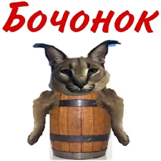 🙃 emoji ШЛЕПЫЧЬ :) Telegram sticker 9 of 39