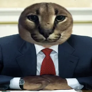 👦 emoji ШЛЕПЫЧЬ :) Telegram sticker 11 of 39