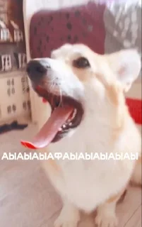 🅰️ emoji ЛЕОНИДДД Telegram sticker 11 of 41