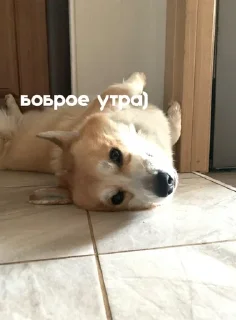 😊 emoji ЛЕОНИДДД Telegram sticker 9 of 41