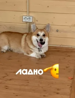 🫱‍🫲 emoji ЛЕОНИДДД Telegram sticker 17 of 41