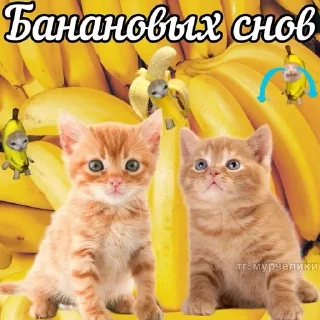 🍌 emoji ദ്ദി(˵ •̀ ᴗ - ˵ ) ✧ Telegram sticker 6 of 51