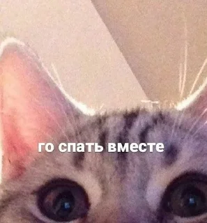 😴 emoji спкнч Telegram sticker 22 of 36