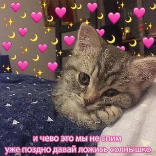 Sticker from спкнч