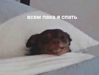 Sticker from Спкй_нч