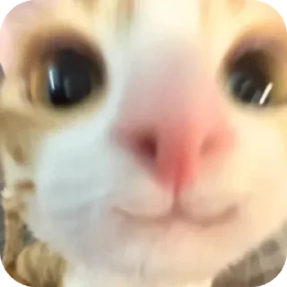 ☺ emoji Томариска Стикс 🫀 Telegram sticker 9 of 39
