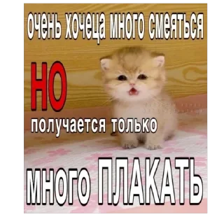 Sticker from найлох стикс