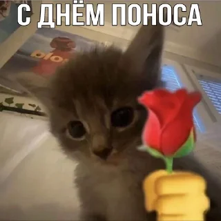 😘 emoji Коты как смысл жизни Telegram sticker 14 of 41