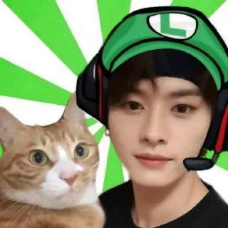 🐾 emoji ✦ ָ ֙⋆ minho by @paradoxstickers Telegram sticker 13 of 35