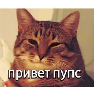 😳 emoji Че Telegram sticker 5 of 41