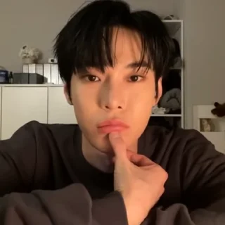 🦔 emoji DOYOUNG @DRWQS Telegram sticker 16 of 30