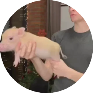 🌟 emoji Свинота ЕАK Telegram sticker 20 of 27
