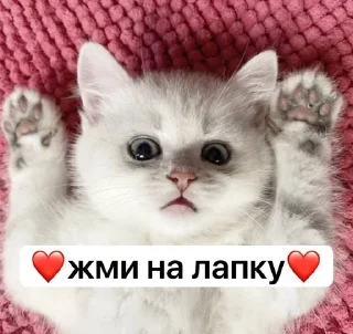 ❤️ emoji watafak Telegram sticker 9 of 9