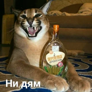 Sticker from Шлёпа