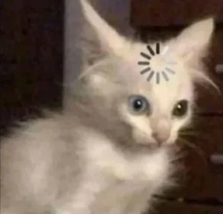 🌟 emoji На все случаи жизни Telegram sticker 16 of 95