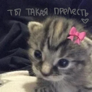 Sticker from специально для тебя!